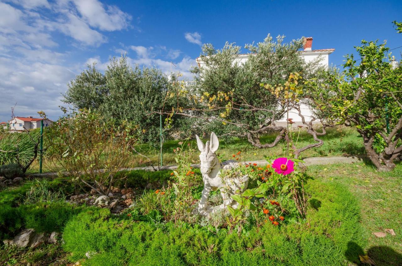 Apartments Marijana Banjol Kültér fotó